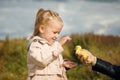 Little girl admires the little duckling Royalty Free Stock Photo