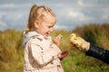 Little girl admires the little duckling Royalty Free Stock Photo