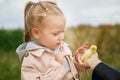 Little girl admires the little duckling Royalty Free Stock Photo