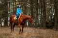 Little girl on an adult brown horse on the background of nature. Jockey, epodrome, horseback riding Royalty Free Stock Photo