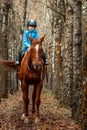 Little girl on an adult brown horse on the background of nature. Jockey, epodrome, horseback riding Royalty Free Stock Photo