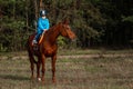 Little girl on an adult brown horse on the background of nature. Jockey, epodrome, horseback riding Royalty Free Stock Photo