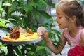 Little girl amazed by butterflies