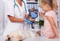 Little girl at the animal shelter checking out the baby animals Royalty Free Stock Photo