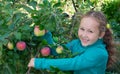 A little girl with an Apple in an Apple orchard. Baby with organic Apple. Royalty Free Stock Photo