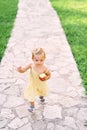 Little girl with an apple in her hand walks along a cobbled path in the green grass. View from above Royalty Free Stock Photo