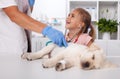 Little girl attending the examination of her labrador puppy dog