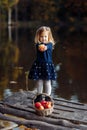Little girl in autumn with a basket of apples. Harvesting apples