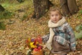 A little girl with an autumn bouquet and a basket of ripe apples hunkered down in a forest meadow Royalty Free Stock Photo