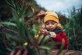 Little girl in autumn clothes eating harvested organic peas in eco garden, sustainable lifestyle. Royalty Free Stock Photo