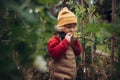 Little girl in autumn clothes eating harvested organic peas in eco garden, sustainable lifestyle. Royalty Free Stock Photo