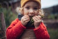 Little girl in autumn clothes eating harvested organic peas in eco garden, sustainable lifestyle. Royalty Free Stock Photo