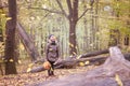 Little girl in the autumn forest. Autumn mood. A child on a log Royalty Free Stock Photo
