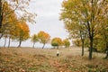 Little girl in the autumn park. run trod