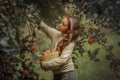 Little girl in the apple garden Royalty Free Stock Photo