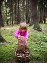 Little girl with a basket of mushrooms Royalty Free Stock Photo