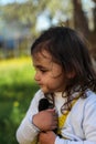 little girl with a basket in which the ducklings in daisies Royalty Free Stock Photo