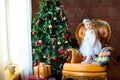 Little girl in a beautiful dress near a festive Christmas tree Royalty Free Stock Photo