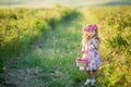 A little girl with beautiful long blond hair, dressed in a light dress and a wreath of real flowers on her head, in the Royalty Free Stock Photo