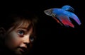 Little girl behind aquarium looking on fish Royalty Free Stock Photo