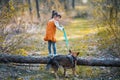 Little girl with a big dog climbs over a log