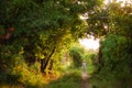 A little girl in a big green garden, a fairy magic picture