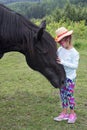 Little girl with a big horse Royalty Free Stock Photo