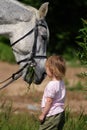 Little girl and big horse's head eating grass Royalty Free Stock Photo