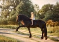 Little girl with black friesian stallion Royalty Free Stock Photo