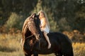 Little girl with black friesian stallion Royalty Free Stock Photo