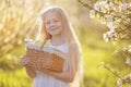 Little girl in blossom garden with basket of apples Royalty Free Stock Photo