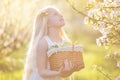 Little girl in blossom garden with basket of apples Royalty Free Stock Photo