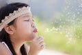 Little girl blowing dandelion Royalty Free Stock Photo