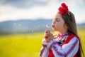 Little girl blowing dandelion on a green field. Bulgarian woman in ethnic folklore dress blow dandelions Royalty Free Stock Photo