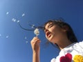 A little girl blowing dandelion seeds.