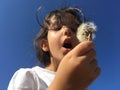 A little girl blowing dandelion seeds. Royalty Free Stock Photo