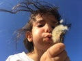 A little girl blowing dandelion seeds. Royalty Free Stock Photo