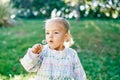 Little girl blowing on a dandelion while standing on a green lawn Royalty Free Stock Photo