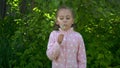 A little girl blows a dandelion in nature. Royalty Free Stock Photo