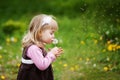 The little girl blows a dandelion