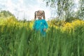 Little girl in a blue dress cautiously looks into the tall grass