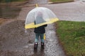 A little girl in a blue jacket under an umbrella walks on a wet sidewalk on a rainy day in spring or autumn Royalty Free Stock Photo