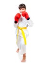 Little girl in boxing gloves Royalty Free Stock Photo