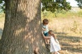 Little girl and boy climbing a tree. Cute kids on the big old tree on sunny day. Child climbing a tree. Royalty Free Stock Photo