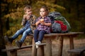 Little girl and boy eating apple in nature Royalty Free Stock Photo