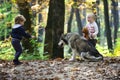 Little girl and boy friends play with husky pet in woods. Children training dog in autumn forest. Friendship and child Royalty Free Stock Photo