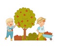 Little Girl and Boy Gathering Apples in Wheelbarrow Working on the Farm Vector Illustration