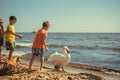 Little girl boys kids on beach have fun with swan.