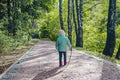 A little girl with a branch in her hands in a green Park Royalty Free Stock Photo