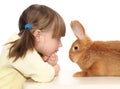Little girl and brown rabbit